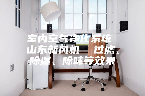 室內(nèi)空氣凈化系統(tǒng) 山東新風(fēng)機(jī)  過濾、除濕、除味等效果