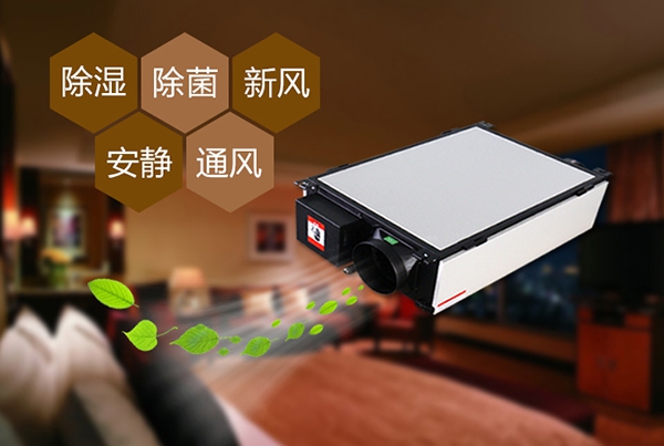 出梅？再等等，在家該如何防潮除濕？