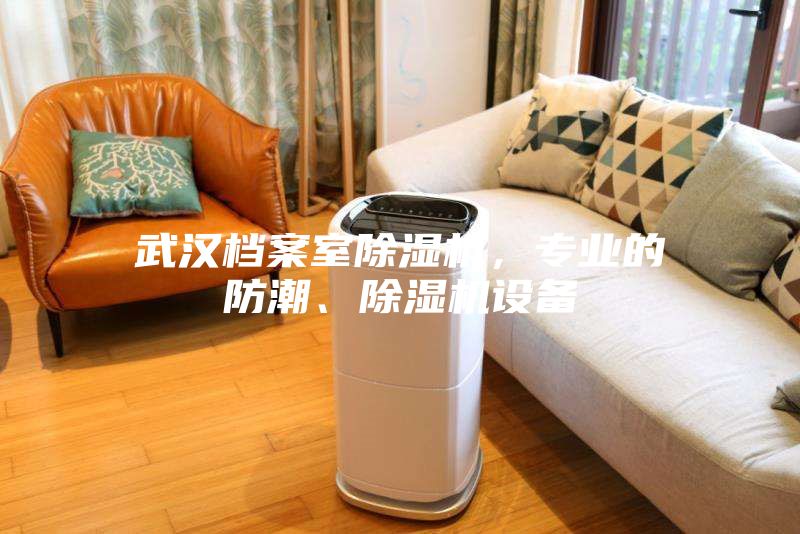 武漢檔案室除濕機(jī)，專業(yè)的防潮、除濕機(jī)設(shè)備