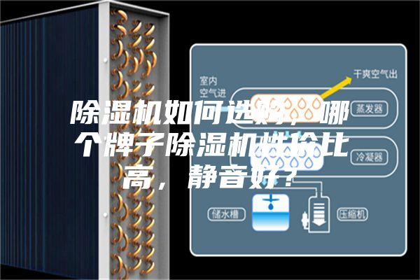 除濕機如何選購，哪個牌子除濕機性價比高，靜音好？