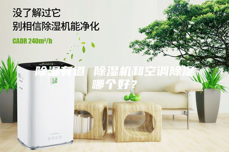 除濕有道 除濕機和空調(diào)除濕哪個好？