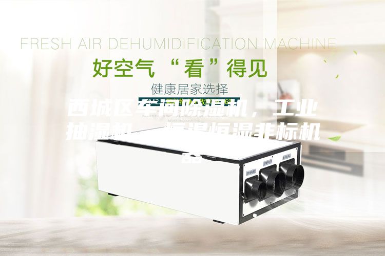 西城區(qū)車間除濕機(jī)，工業(yè)抽濕機(jī)  恒溫恒濕非標(biāo)機(jī)器