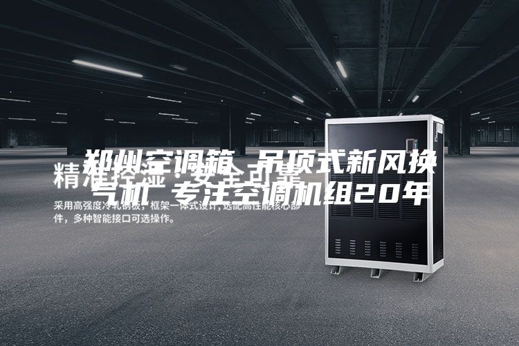 鄭州空調(diào)箱 吊頂式新風(fēng)換氣機(jī) 專(zhuān)注空調(diào)機(jī)組20年
