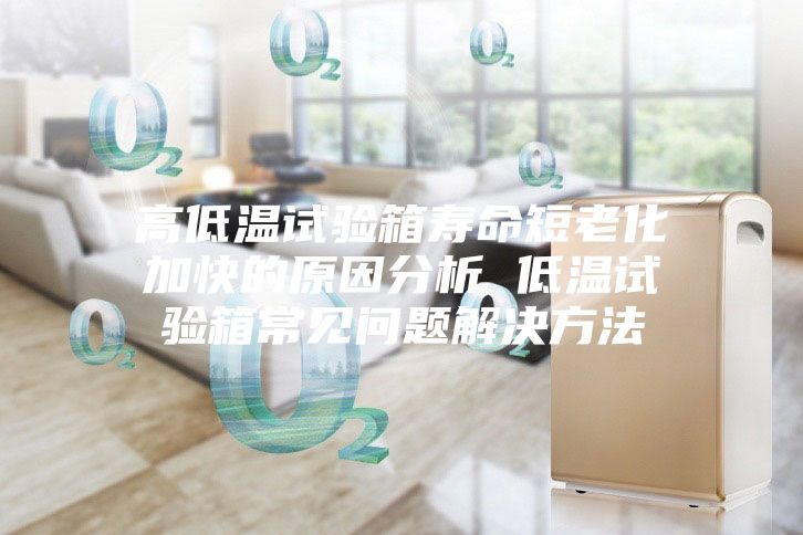 高低溫試驗(yàn)箱壽命短老化加快的原因分析 低溫試驗(yàn)箱常見(jiàn)問(wèn)題解決方法