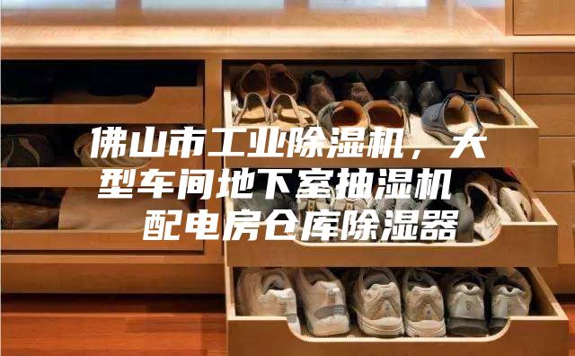 佛山市工業(yè)除濕機(jī)，大型車間地下室抽濕機(jī)  配電房倉(cāng)庫(kù)除濕器