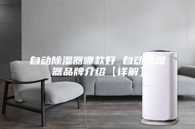自動(dòng)除濕器哪款好 自動(dòng)除濕器品牌介紹【詳解】