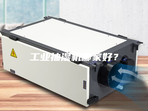 工業(yè)抽濕機哪家好？