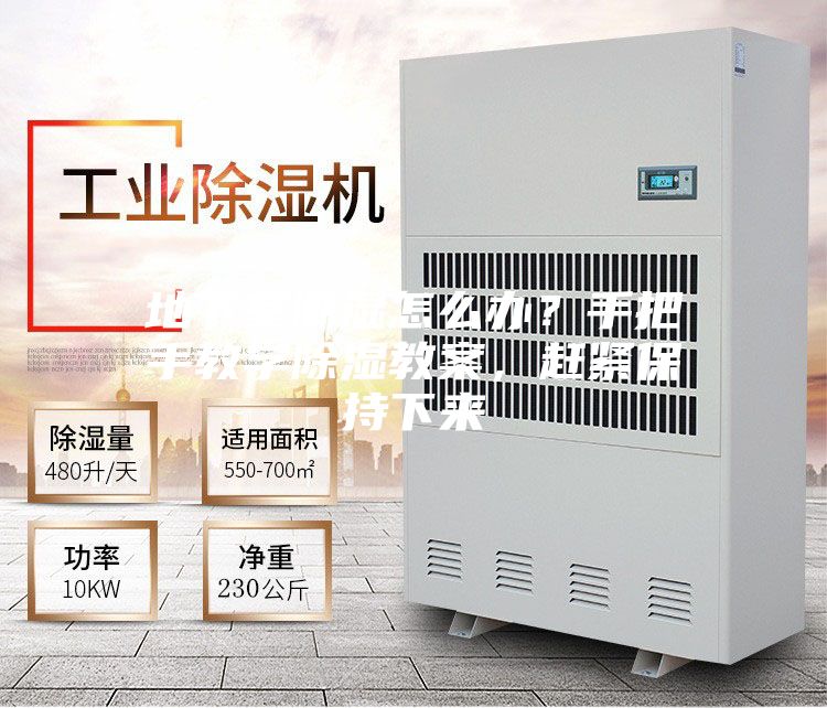 地下室潮濕怎么辦？手把手教學(xué)除濕教案，趕緊保持下來(lái)