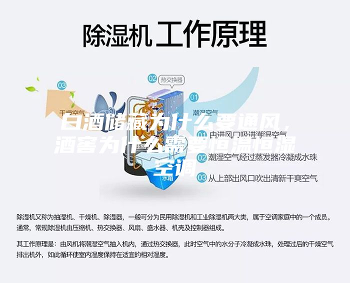 白酒儲(chǔ)藏為什么要通風(fēng)，酒窖為什么需要恒溫恒濕空調(diào)