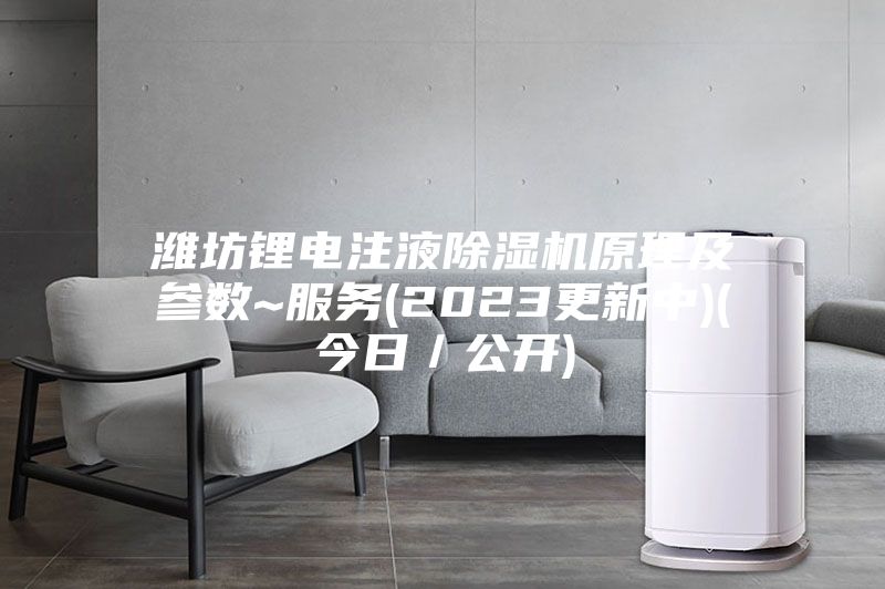 濰坊鋰電注液除濕機(jī)原理及參數(shù)~服務(wù)(2023更新中)(今日／公開(kāi))