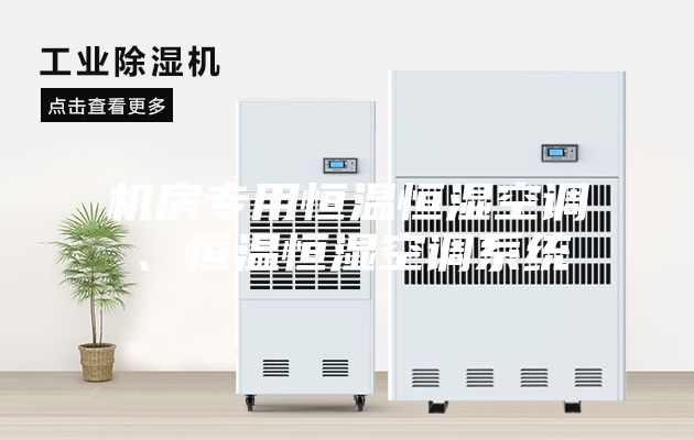 機(jī)房專用恒溫恒濕空調(diào)、恒溫恒濕空調(diào)系統(tǒng)