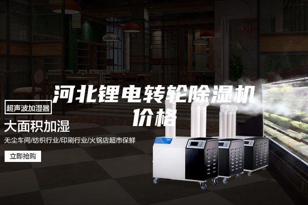 河北鋰電轉(zhuǎn)輪除濕機(jī)價格