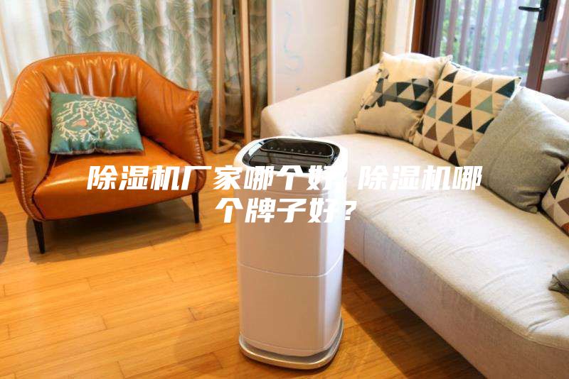 除濕機(jī)廠家哪個(gè)好 除濕機(jī)哪個(gè)牌子好？