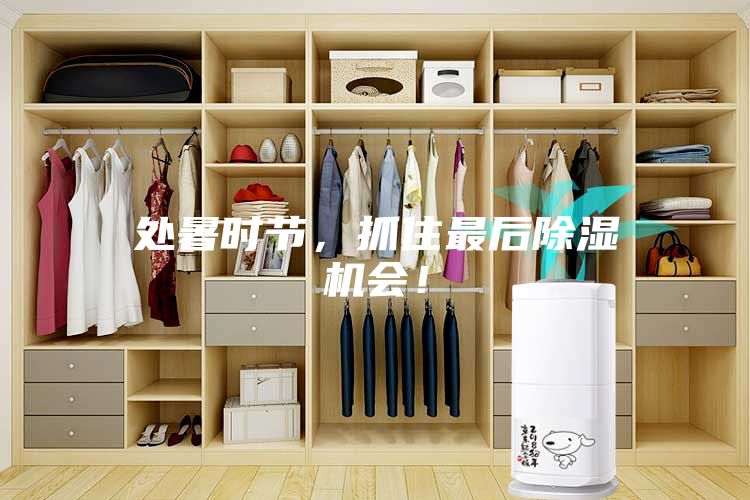 處暑時節(jié)，抓住最后除濕機會！