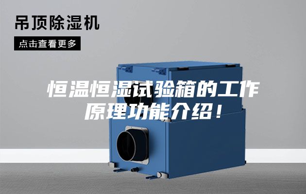 恒溫恒濕試驗(yàn)箱的工作原理功能介紹！