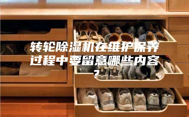 轉(zhuǎn)輪除濕機在維護保養(yǎng)過程中要留意哪些內(nèi)容？
