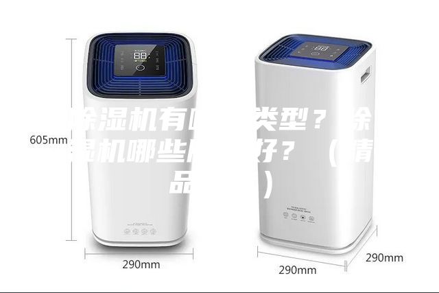 除濕機有哪些類型？除濕機哪些牌子好？（精品推薦）