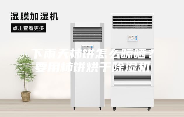 下雨天柿餅怎么晾曬？要用柿餅烘干除濕機(jī)