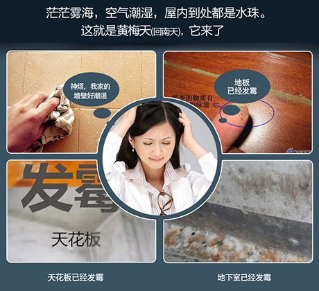 地下室中央新風(fēng)除濕機(jī)，地下室通風(fēng)與除濕解決方案