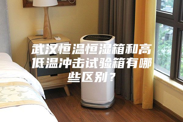 武漢恒溫恒濕箱和高低溫沖擊試驗(yàn)箱有哪些區(qū)別？