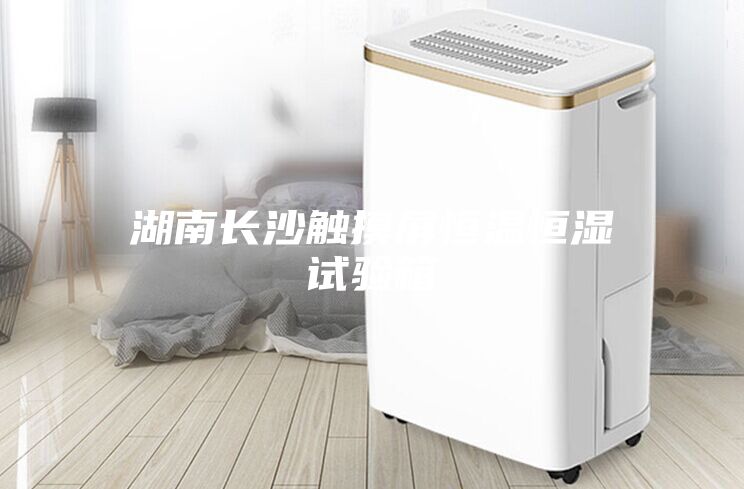 湖南長沙觸摸屏恒溫恒濕試驗(yàn)箱