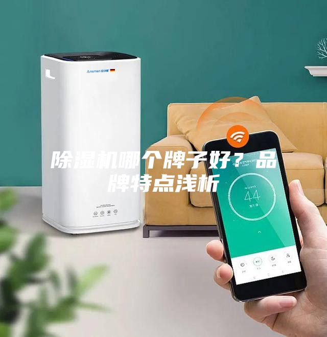 除濕機哪個牌子好？品牌特點淺析
