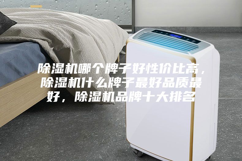 除濕機(jī)哪個(gè)牌子好性價(jià)比高，除濕機(jī)什么牌子最好品質(zhì)最好，除濕機(jī)品牌十大排名