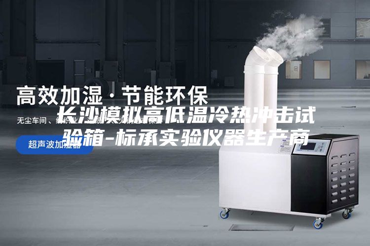 長沙模擬高低溫冷熱沖擊試驗箱-標承實驗儀器生產(chǎn)商