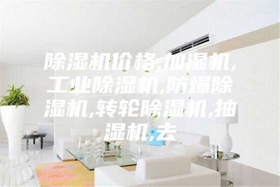 除濕機價格,加濕機,工業(yè)除濕機,防爆除濕機,轉輪除濕機,抽濕機,去