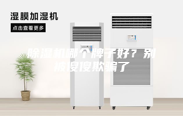 除濕機(jī)哪個牌子好？別被傻傻欺騙了