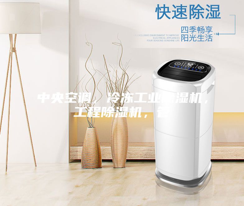中央空調(diào)，冷凍工業(yè)除濕機(jī)，工程除濕機(jī)，管