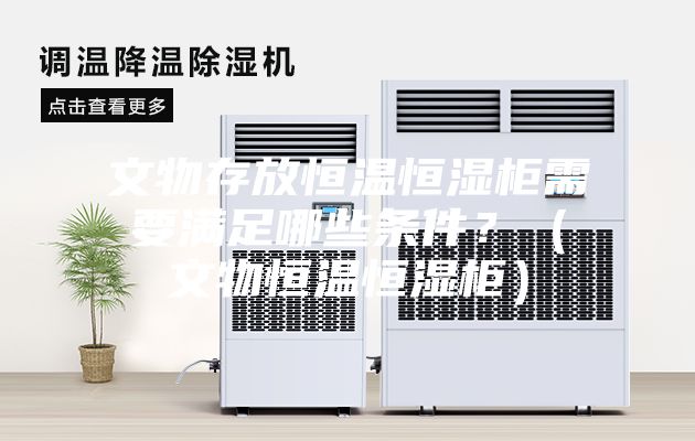 文物存放恒溫恒濕柜需要滿足哪些條件？（文物恒溫恒濕柜）