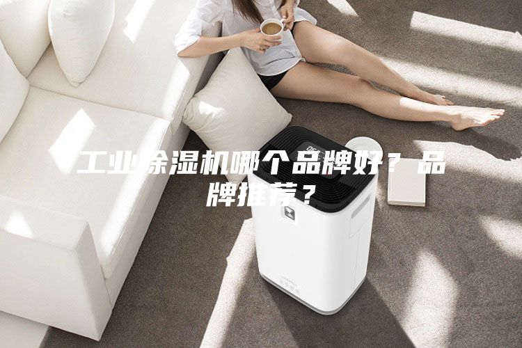 工業(yè)除濕機(jī)哪個(gè)品牌好？品牌推薦？