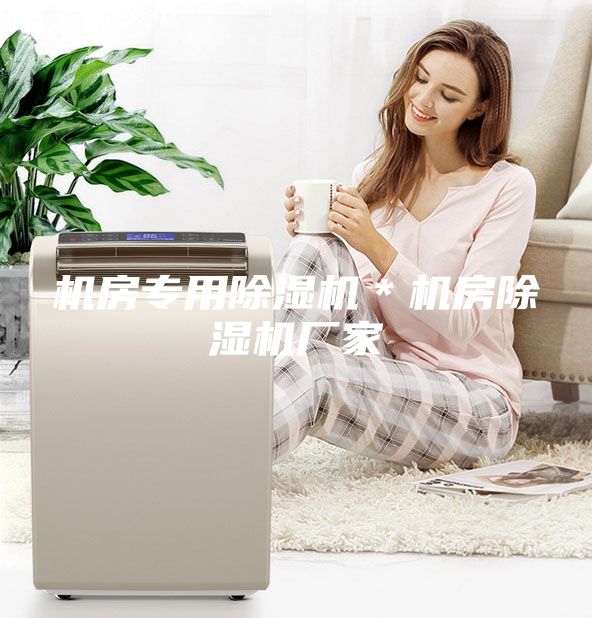 機(jī)房專用除濕機(jī)＊機(jī)房除濕機(jī)廠家