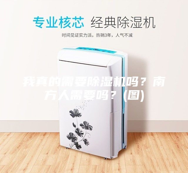 我真的需要除濕機嗎？南方人需要嗎？(圖)