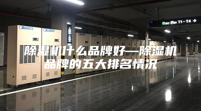 除濕機(jī)什么品牌好—除濕機(jī)品牌的五大排名情況
