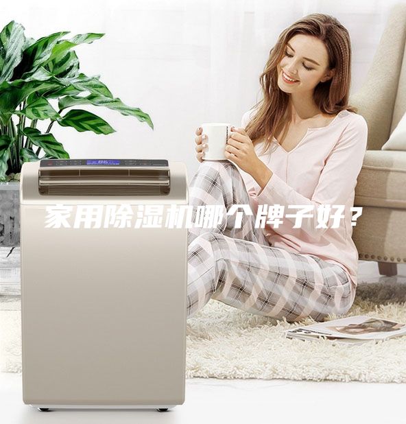 家用除濕機(jī)哪個牌子好？