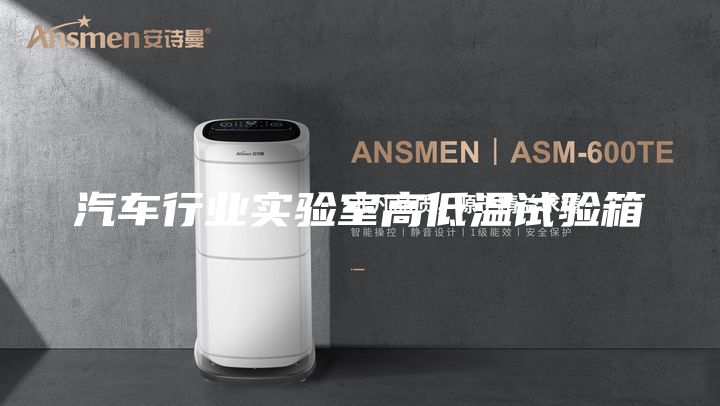汽車(chē)行業(yè)實(shí)驗(yàn)室高低溫試驗(yàn)箱