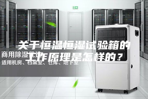 關(guān)于恒溫恒濕試驗(yàn)箱的工作原理是怎樣的？