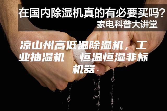 涼山州高低溫除濕機，工業(yè)抽濕機  恒溫恒濕非標機器