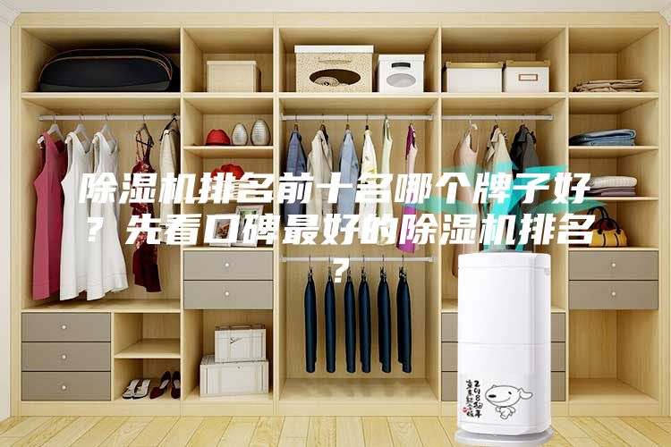 除濕機排名前十名哪個牌子好？先看口碑最好的除濕機排名？