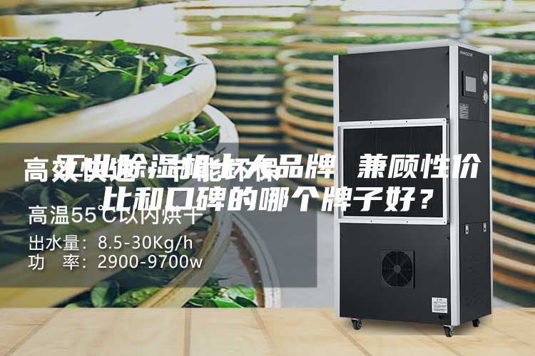 工業(yè)除濕機(jī)十大品牌 兼顧性價(jià)比和口碑的哪個(gè)牌子好？