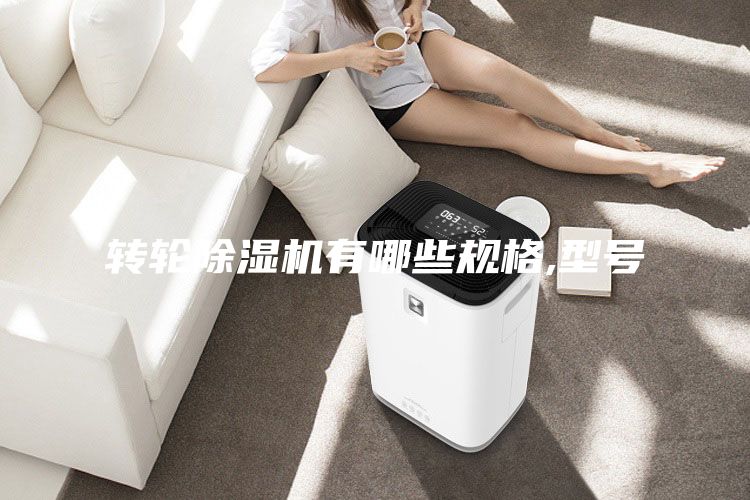轉(zhuǎn)輪除濕機(jī)有哪些規(guī)格,型號