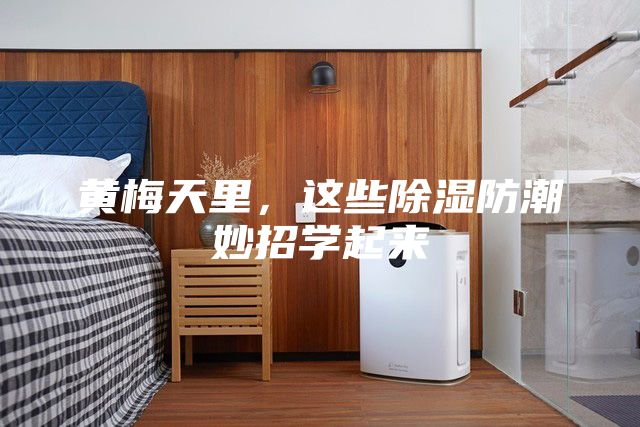 黃梅天里，這些除濕防潮妙招學起來