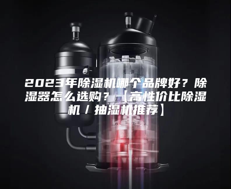 2023年除濕機(jī)哪個品牌好？除濕器怎么選購？【高性價(jià)比除濕機(jī)／抽濕機(jī)推薦】
