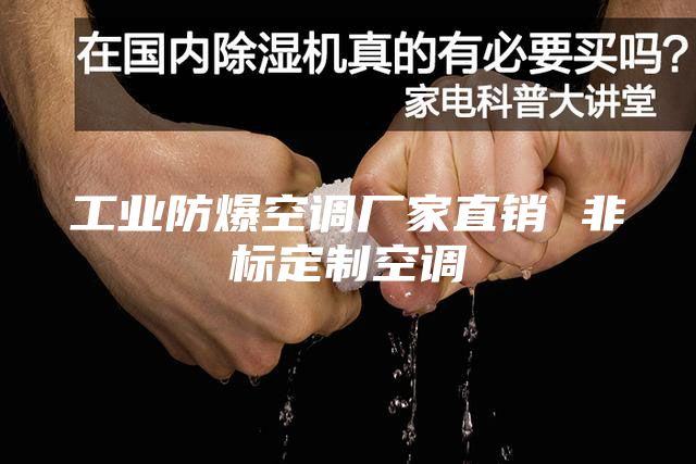 工業(yè)防爆空調廠家直銷 非標定制空調