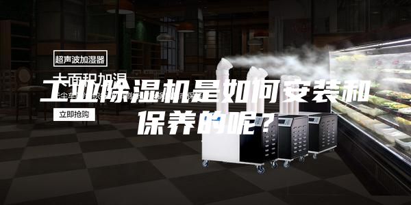 工業(yè)除濕機是如何安裝和保養(yǎng)的呢？