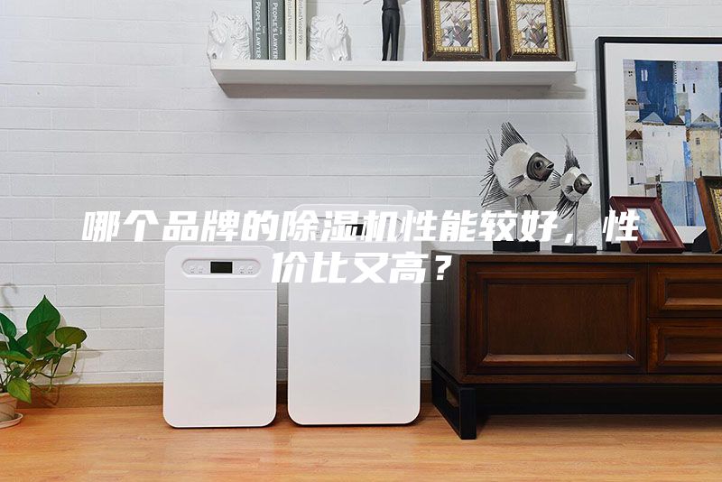 哪個品牌的除濕機(jī)性能較好，性價比又高？