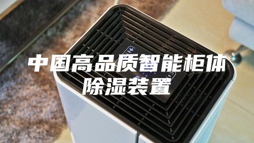 中國(guó)高品質(zhì)智能柜體除濕裝置