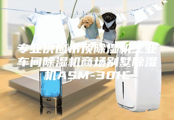 專業(yè)供應(yīng)吊頂除濕機(jī)工業(yè)車間除濕機(jī)商場別墅除濕機(jī)ASM-301E